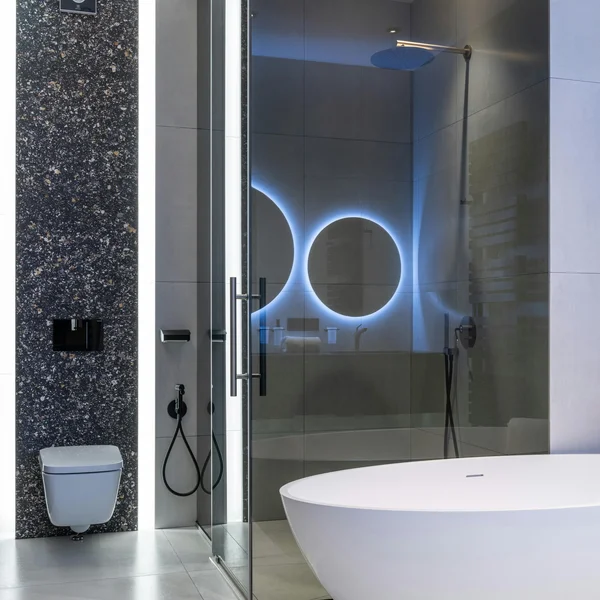 Душова перегородка