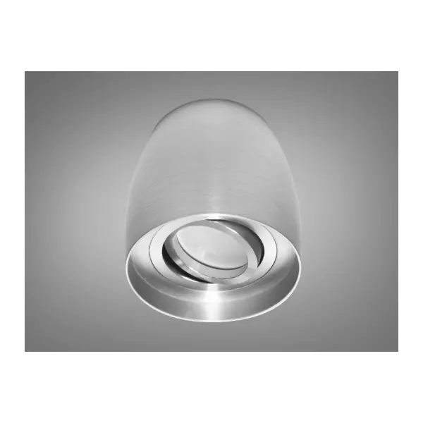 Накладной точечный светильник арт: QXL-1729-SL